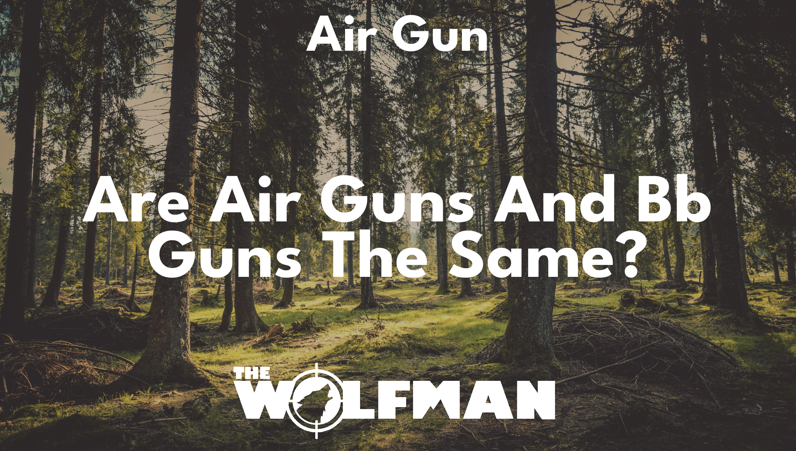 Are Air Guns And Bb Guns The Same? — The Wolfman