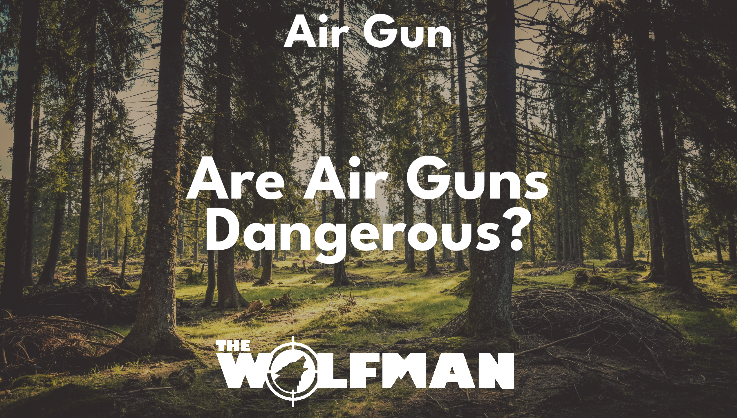 Are Air Guns Dangerous? — The Wolfman