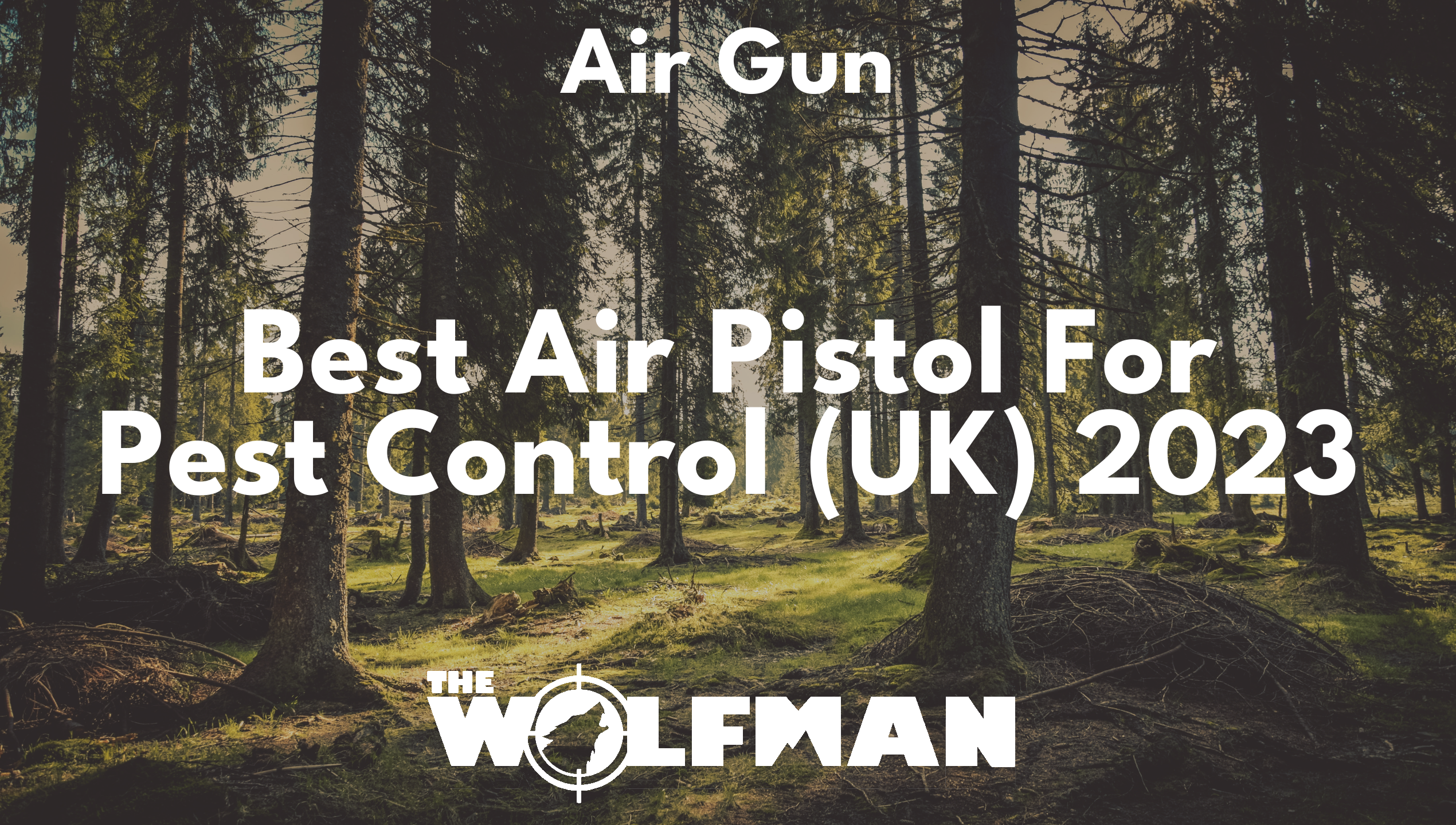 Best Air Pistol For Pest Control (UK) 2023 — The Wolfman