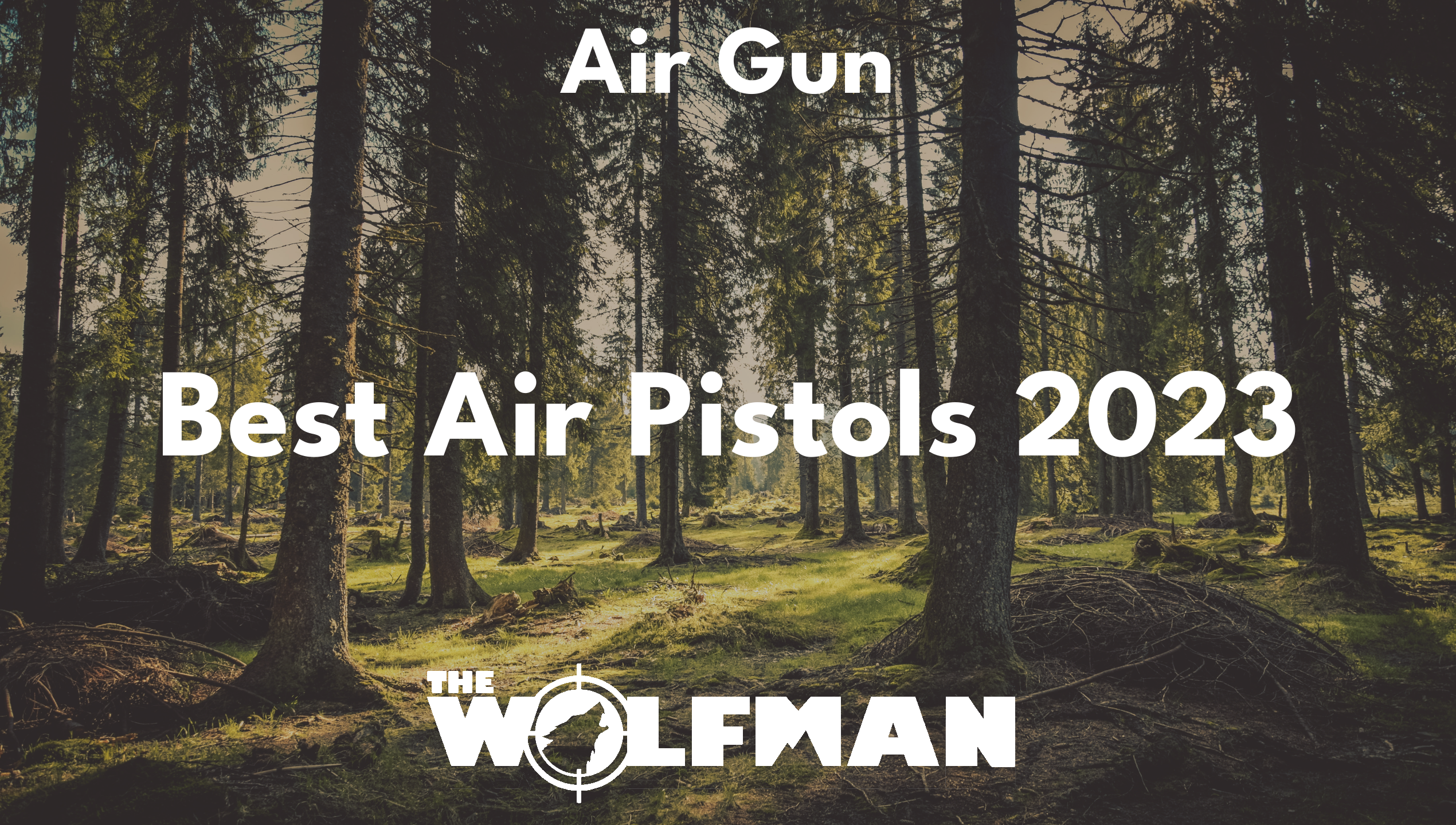 Best Air Pistols 2023 — The Wolfman