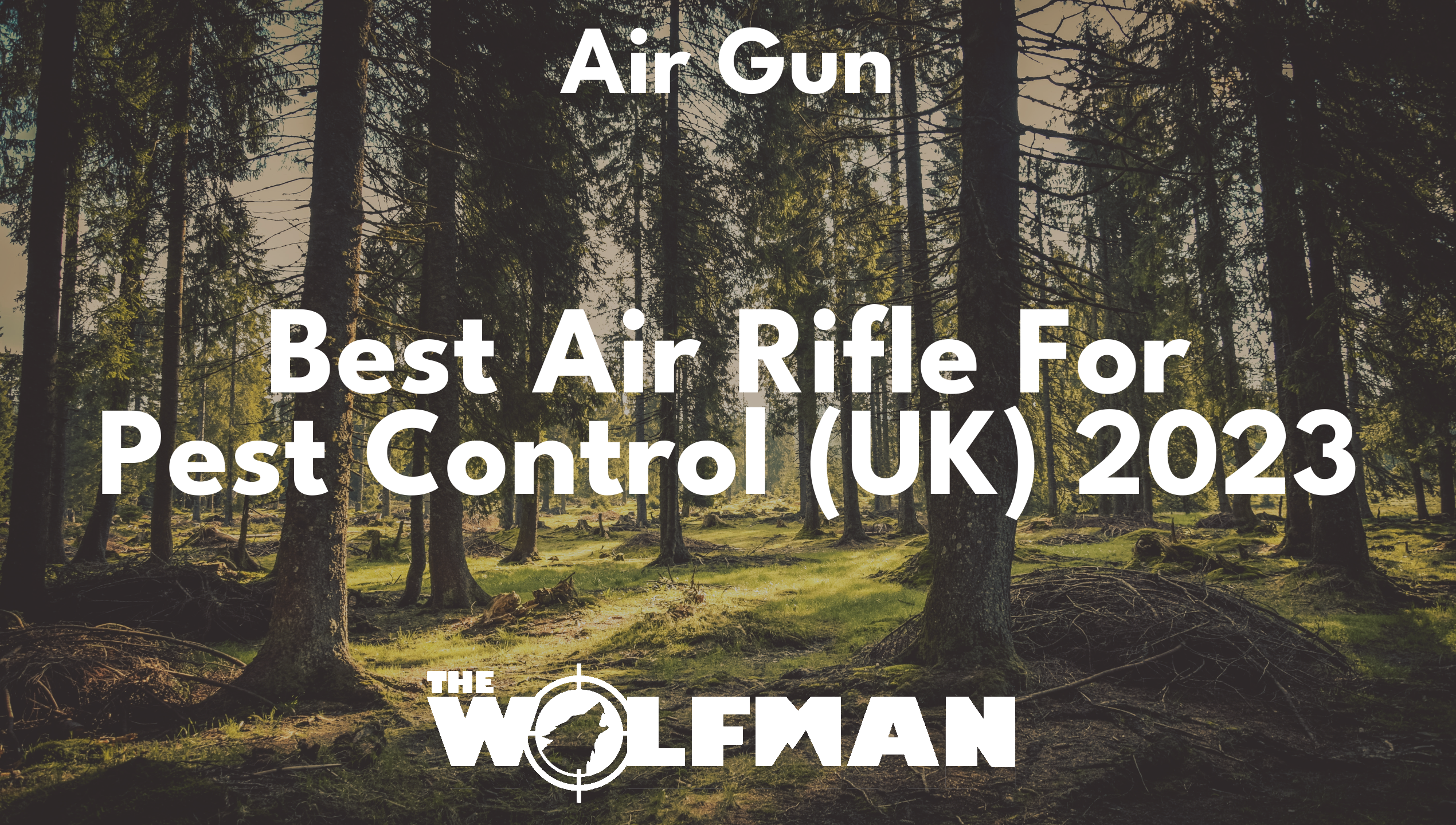 Best Air Rifle For Pest Control (UK) 2023 — The Wolfman