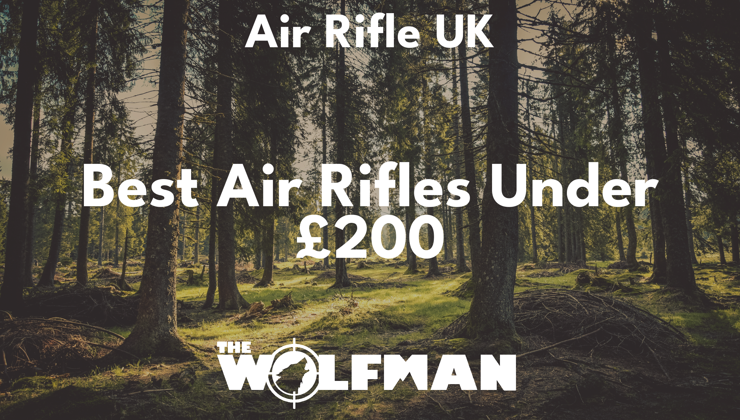 Best Air Rifles Under £200 — The Wolfman