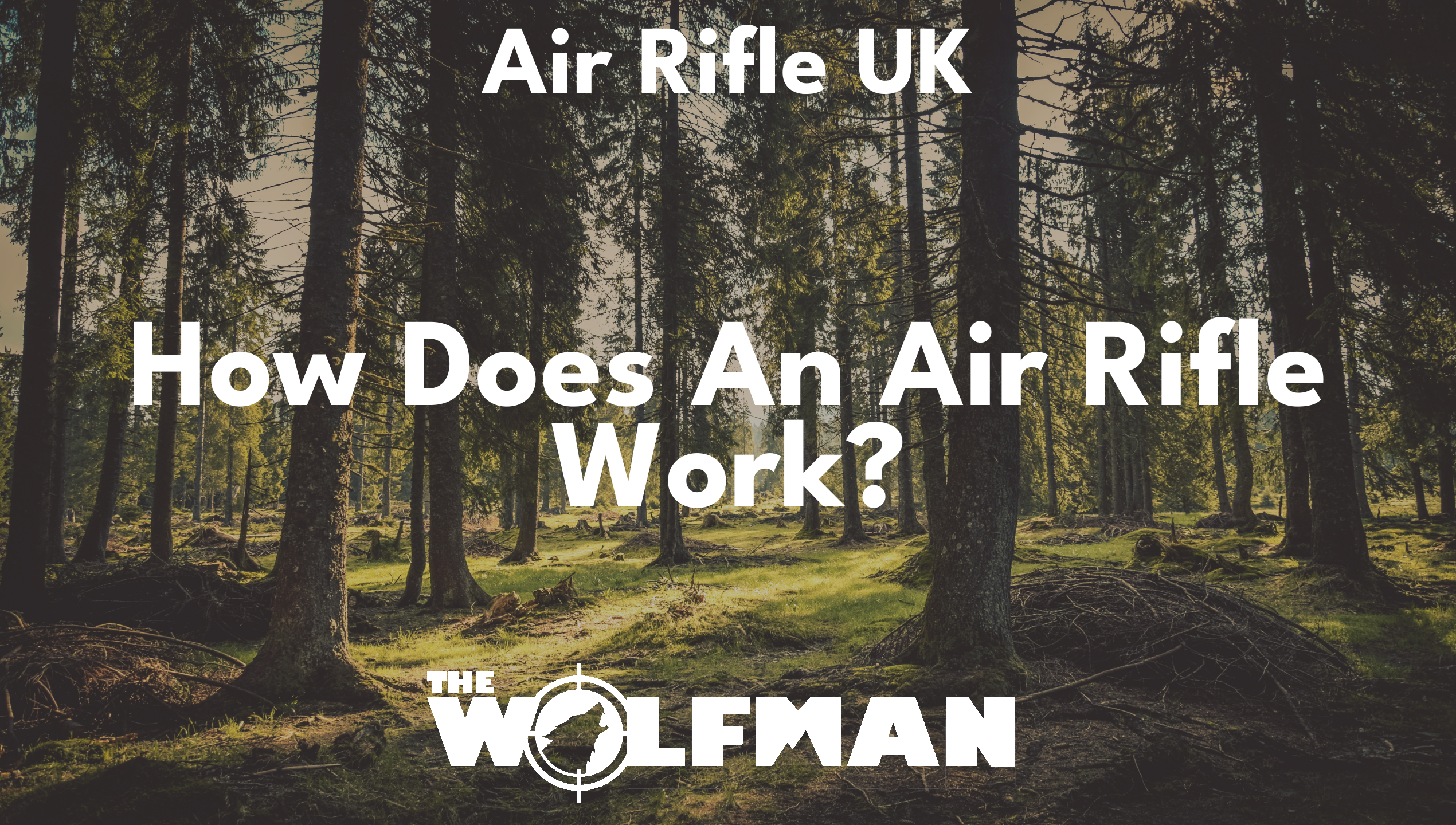 How Does An Air Rifle Work? — The Wolfman