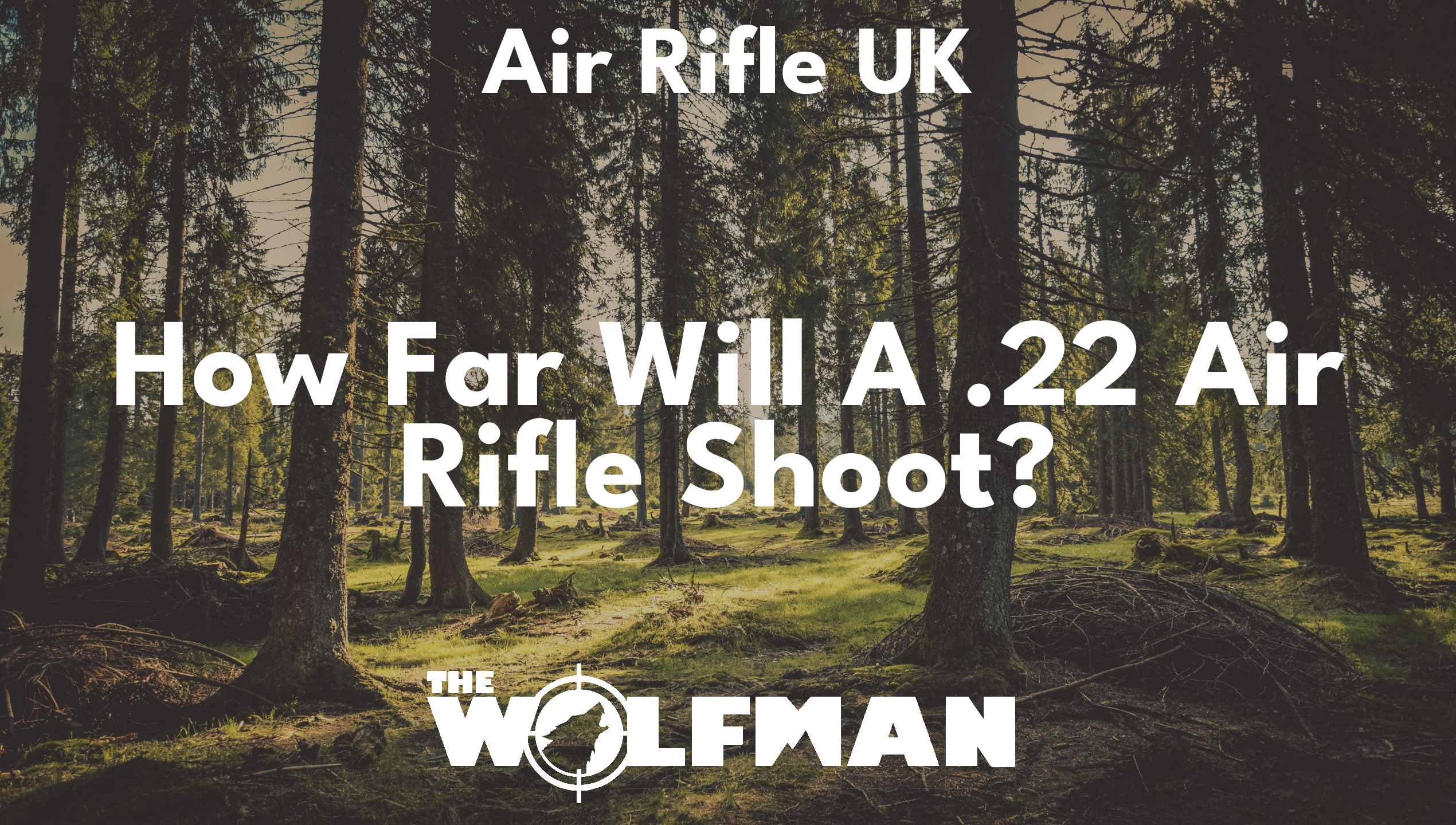 How Far Will A .22 Air Rifle Shoot? — The Wolfman