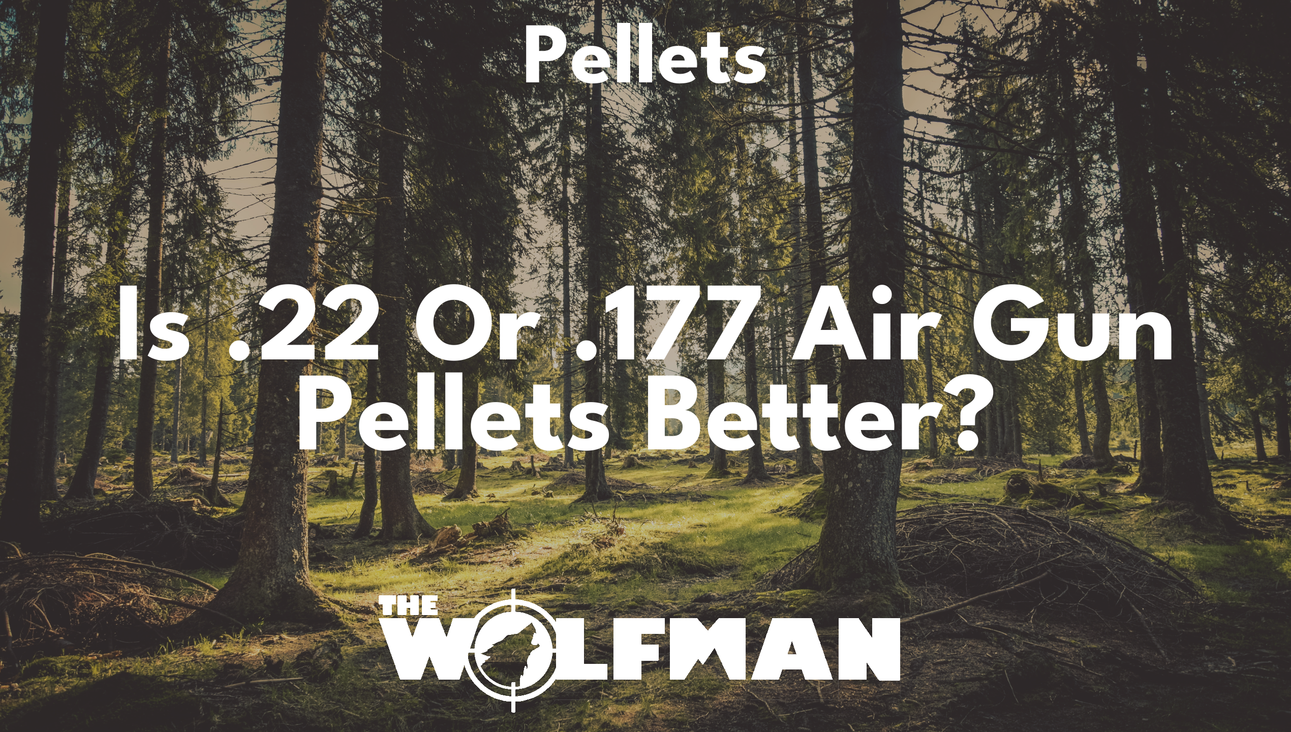 Is .22 Or .177 Air Gun Pellets Better? — The Wolfman