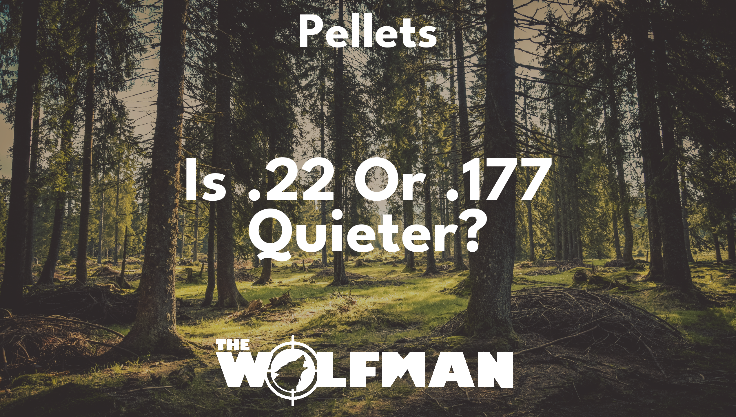 Is .22 Or .177 Quieter? — The Wolfman