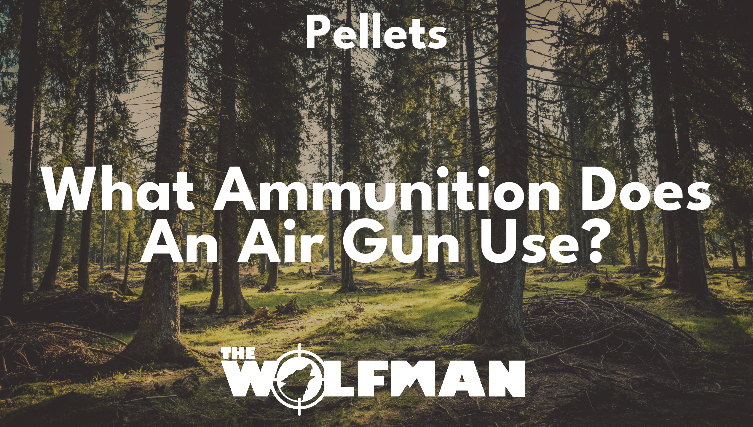 What Ammunition Does An Air Gun Use? — The Wolfman