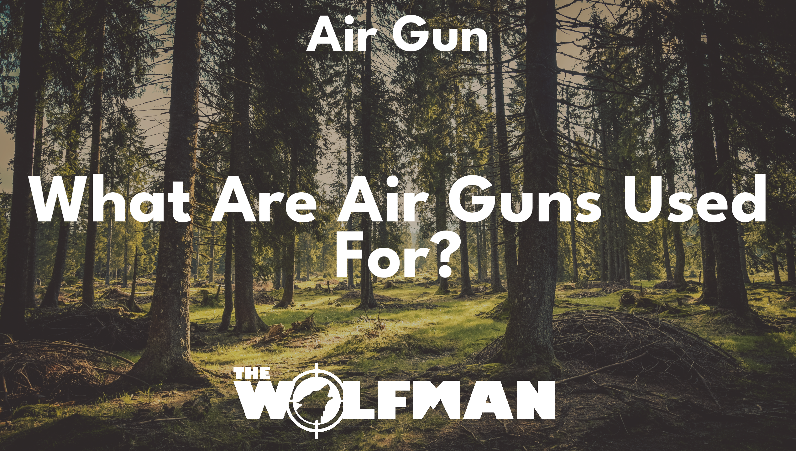 What Are Air Guns Used For? — The Wolfman