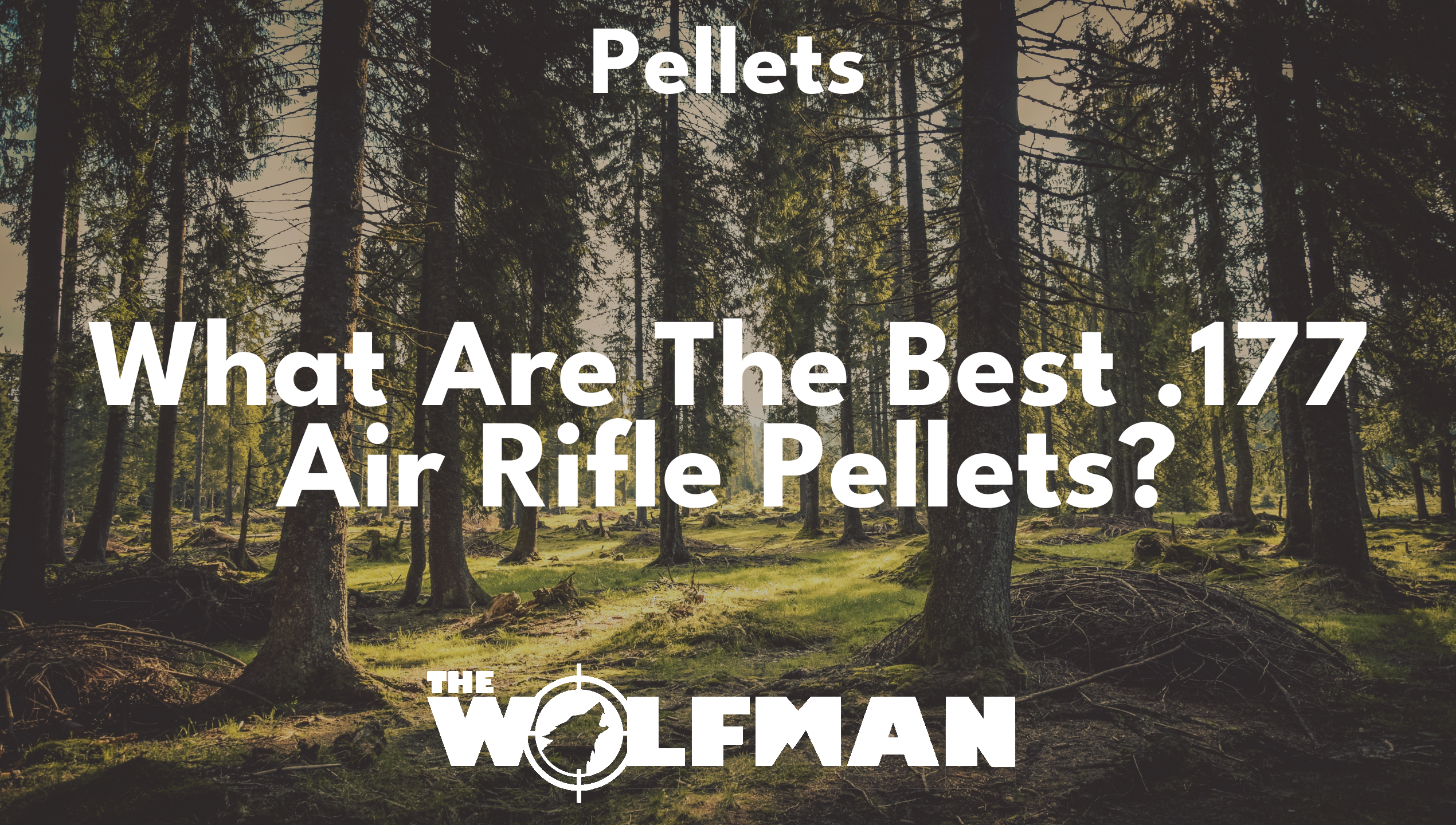 What Are The Best .177 Air Rifle Pellets? — The Wolfman