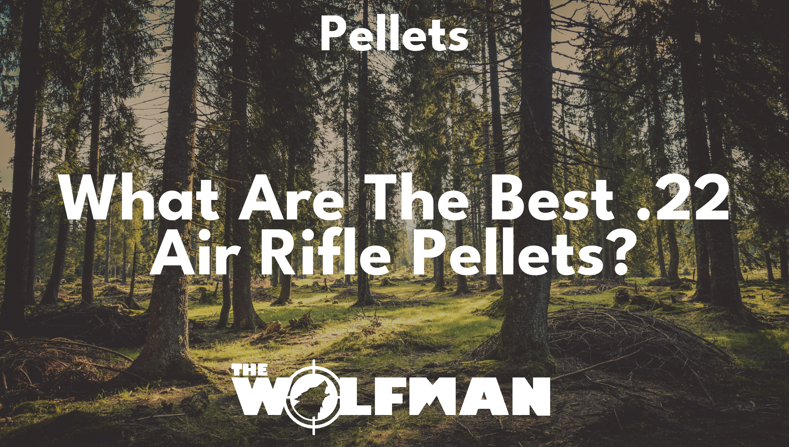 What Are The Best .22 Air Rifle Pellets? — The Wolfman