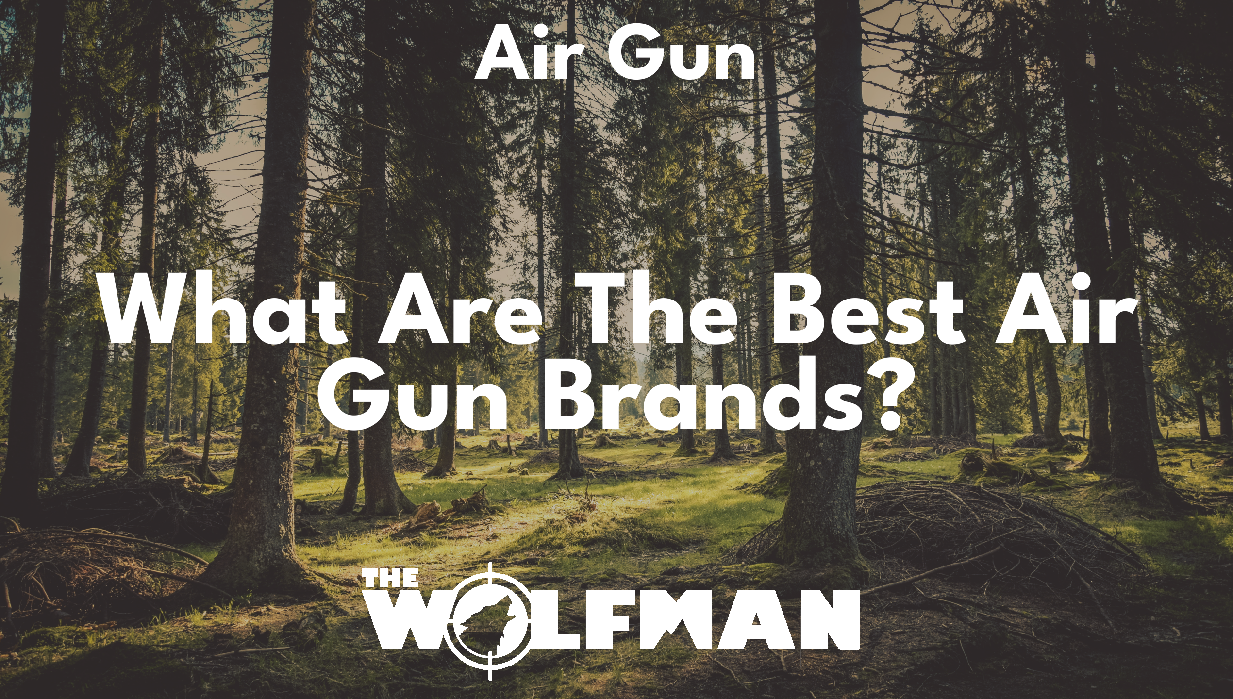 What Are The Best Air Gun Brands? — The Wolfman