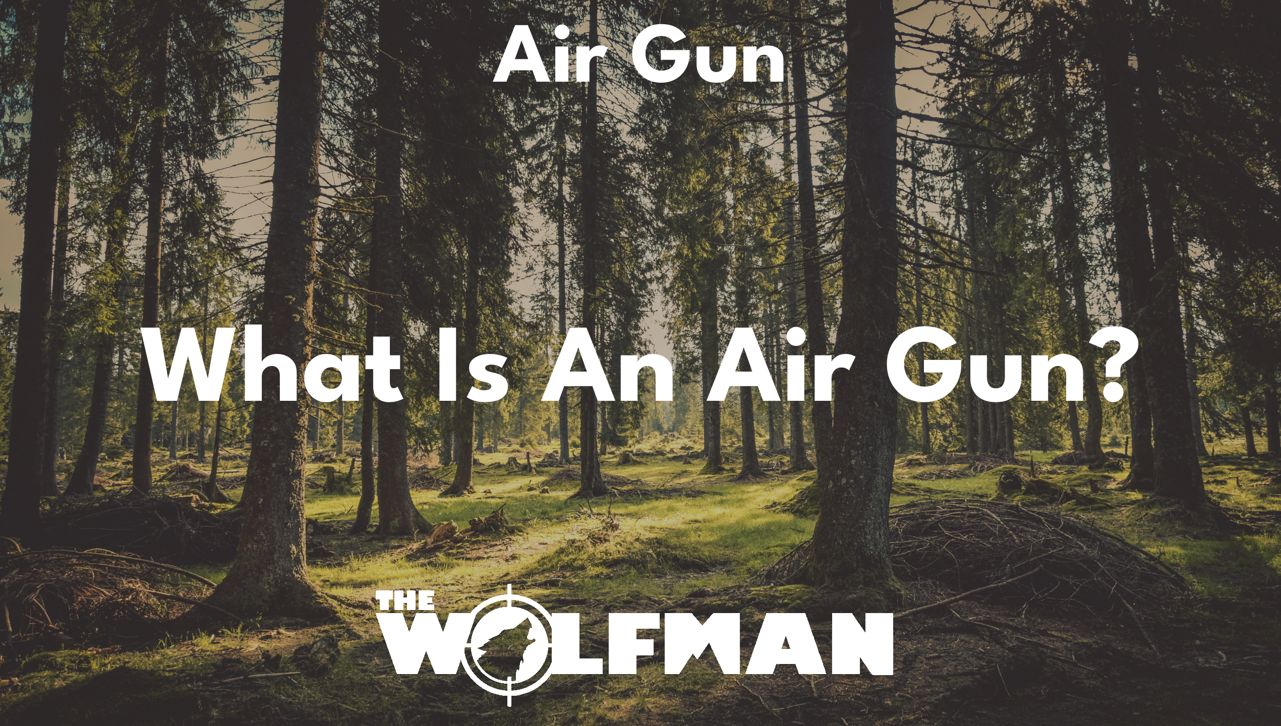 What Is An Air Gun? — The Wolfman