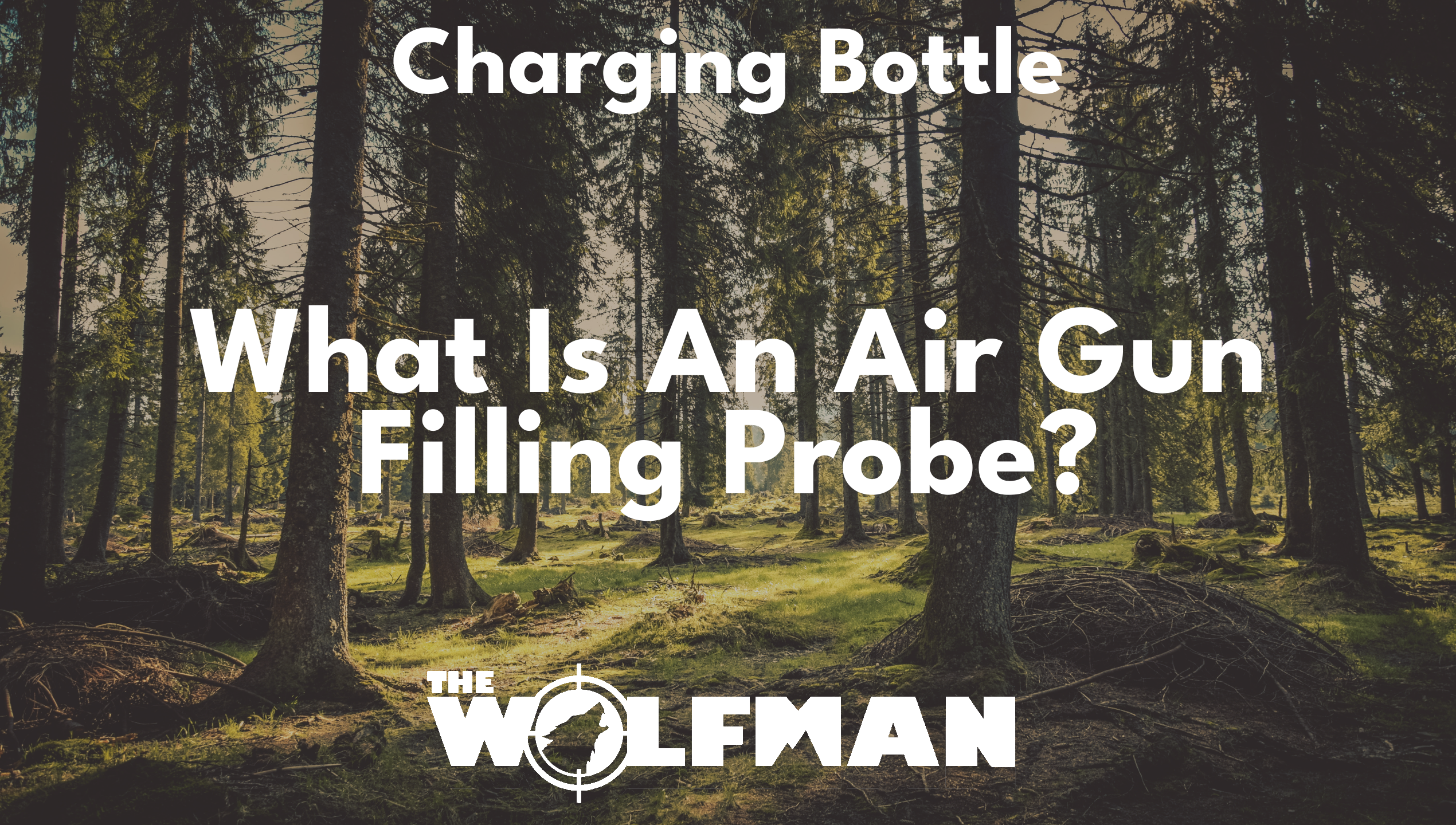 What Is An Air Gun Filling Probe? — The Wolfman