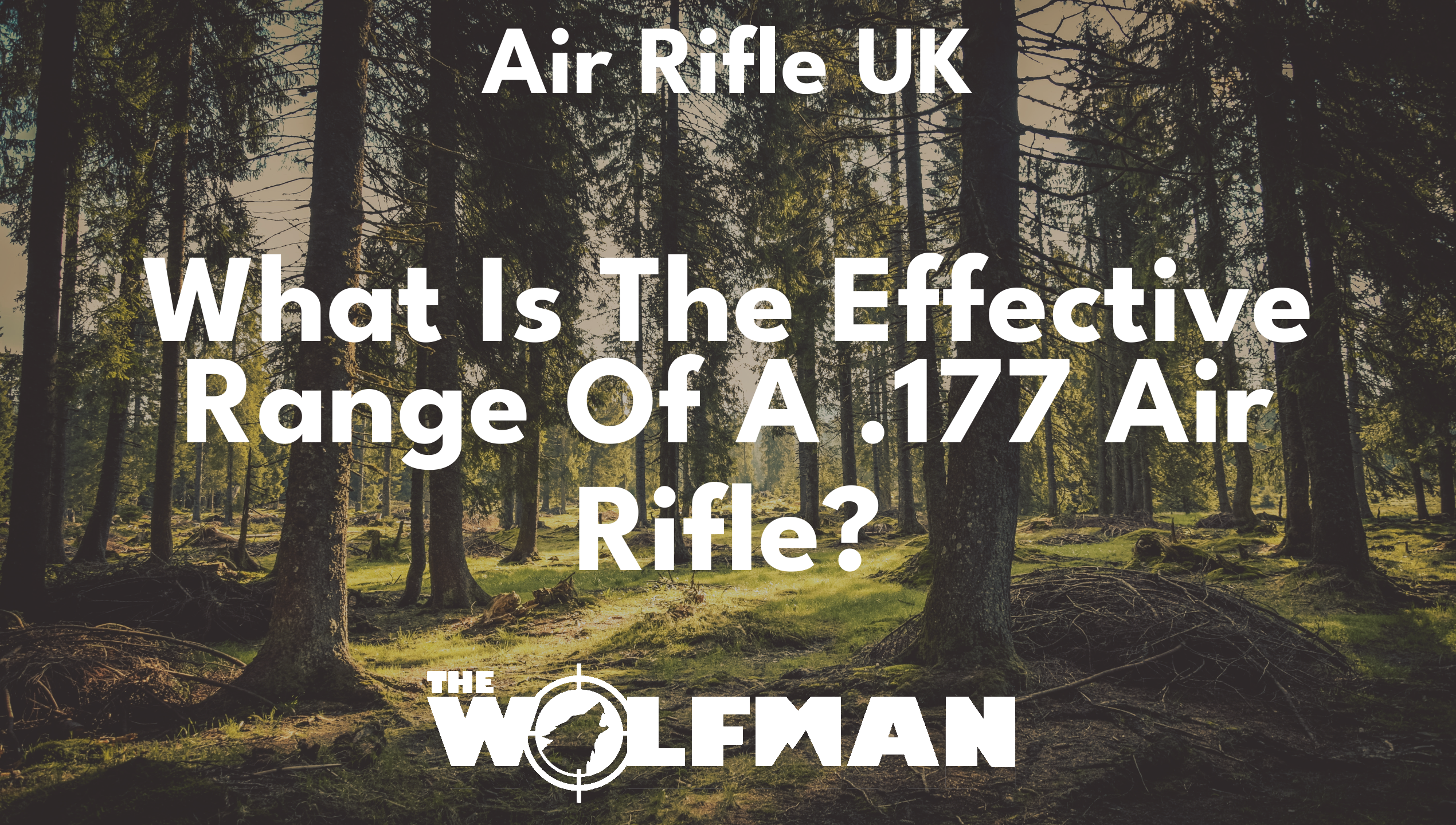 What Is The Effective Range Of A .177 Air Rifle? — The Wolfman