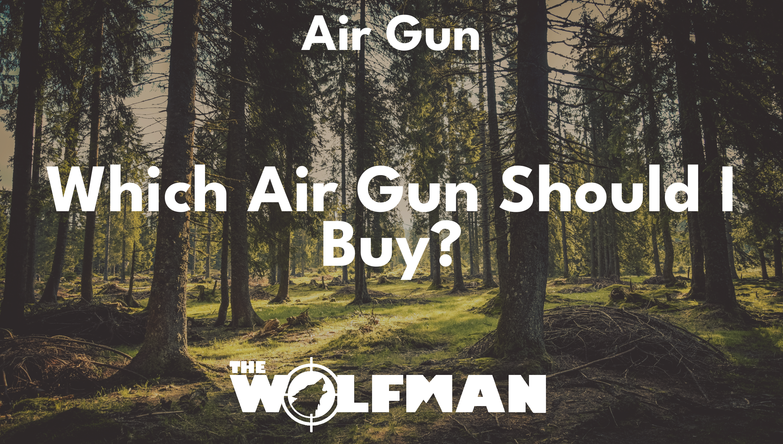 Which Air Gun Should I Buy? — The Wolfman