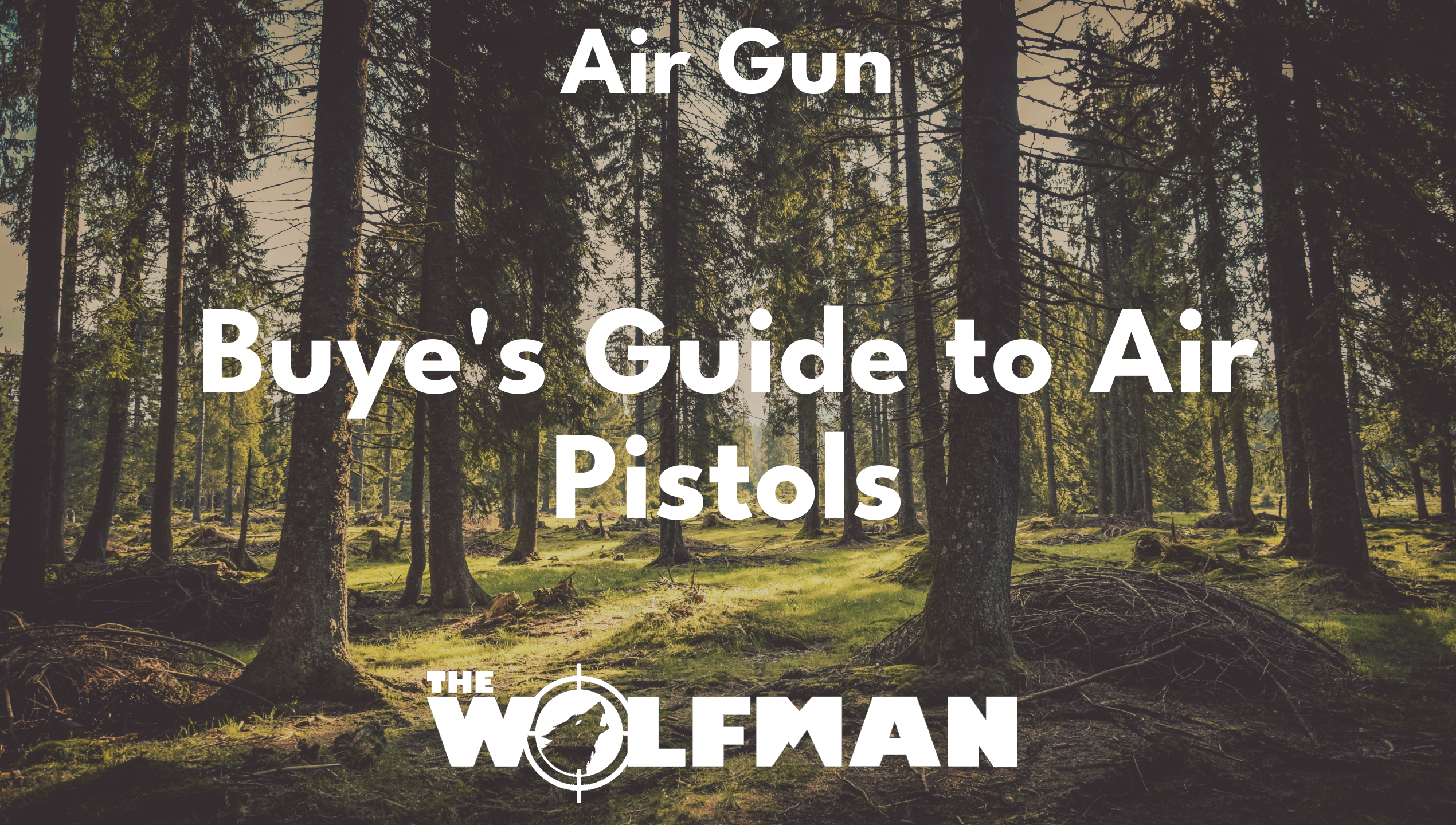 Buye's Guide to Air Pistols — The Wolfman