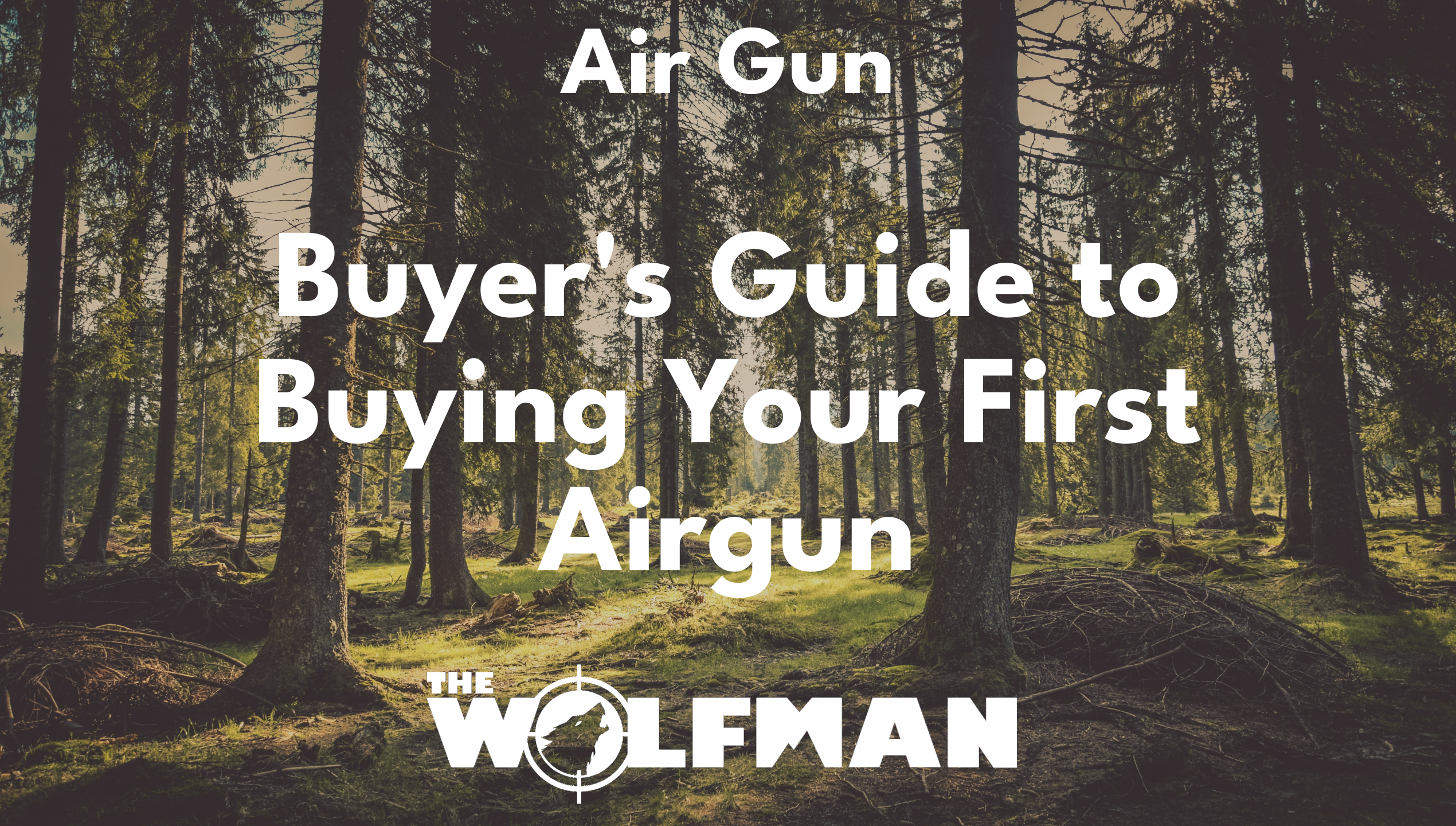 Buyer's Guide to Buying Your First Airgun — The Wolfman