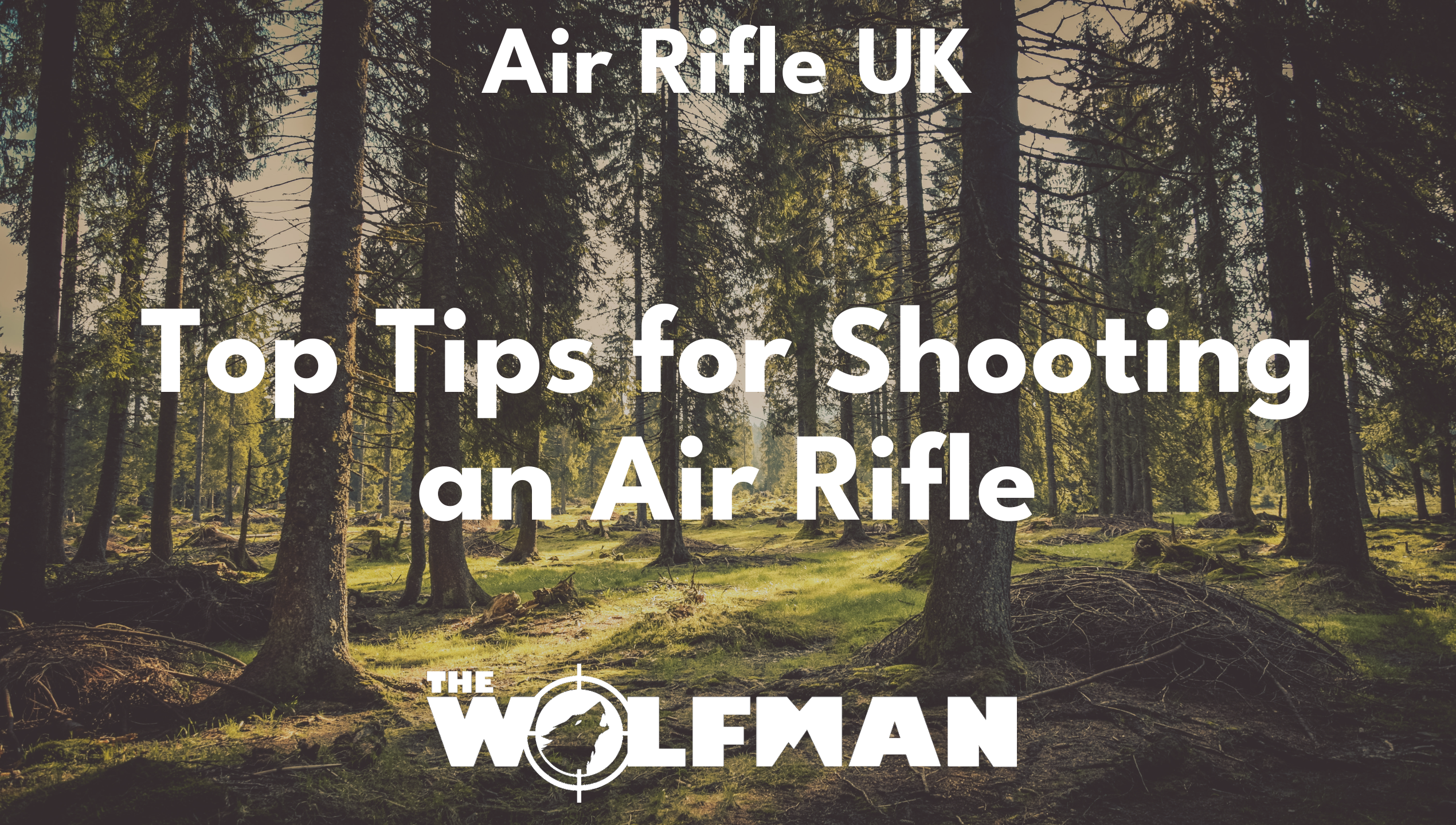 Top Tips for Shooting an Air Rifle — The Wolfman