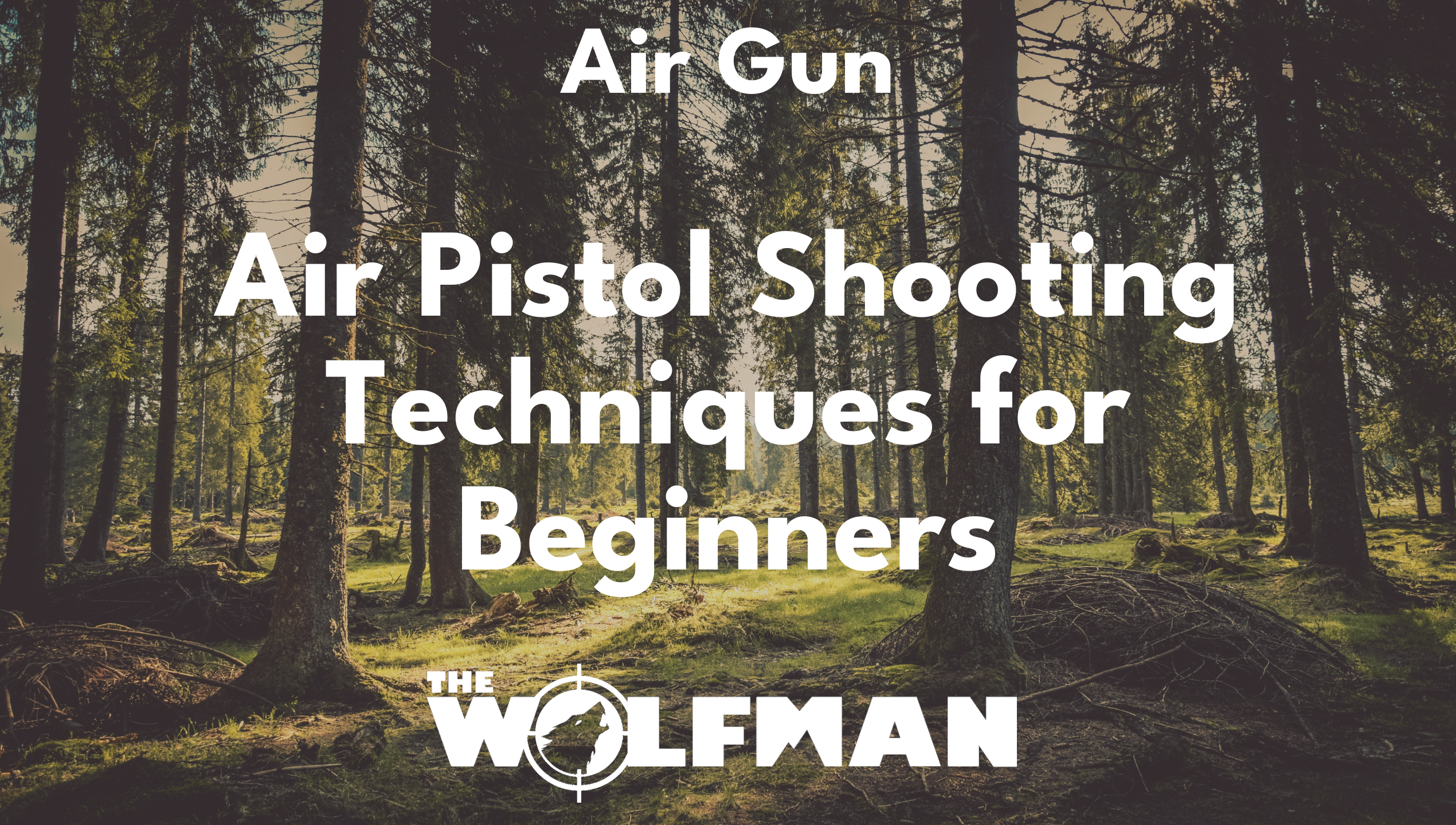 Air Pistol Shooting Techniques for Beginners — The Wolfman